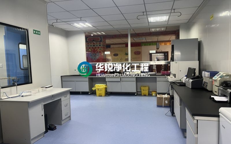 巴中細胞實驗室裝修施工